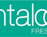 pantaloons